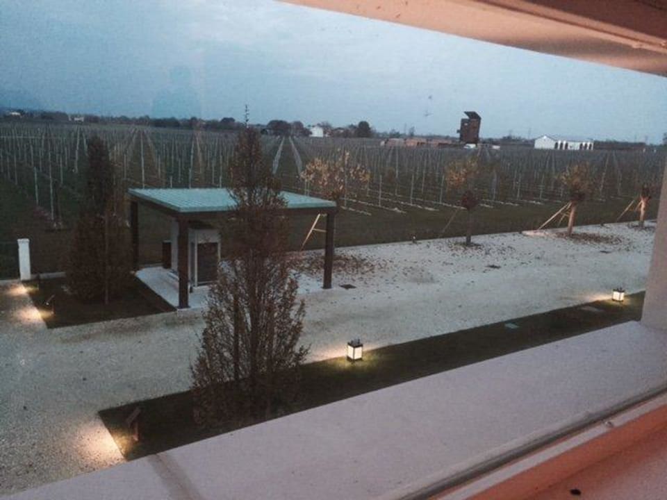 Blick in den Weinberg hinter dem Haus Apartments Giusti Wine Societa Agricola Giusti Dal Col