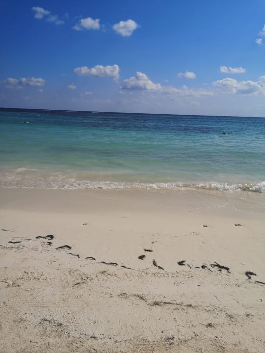 Strand Akumal Bay Beach & Wellness Resort