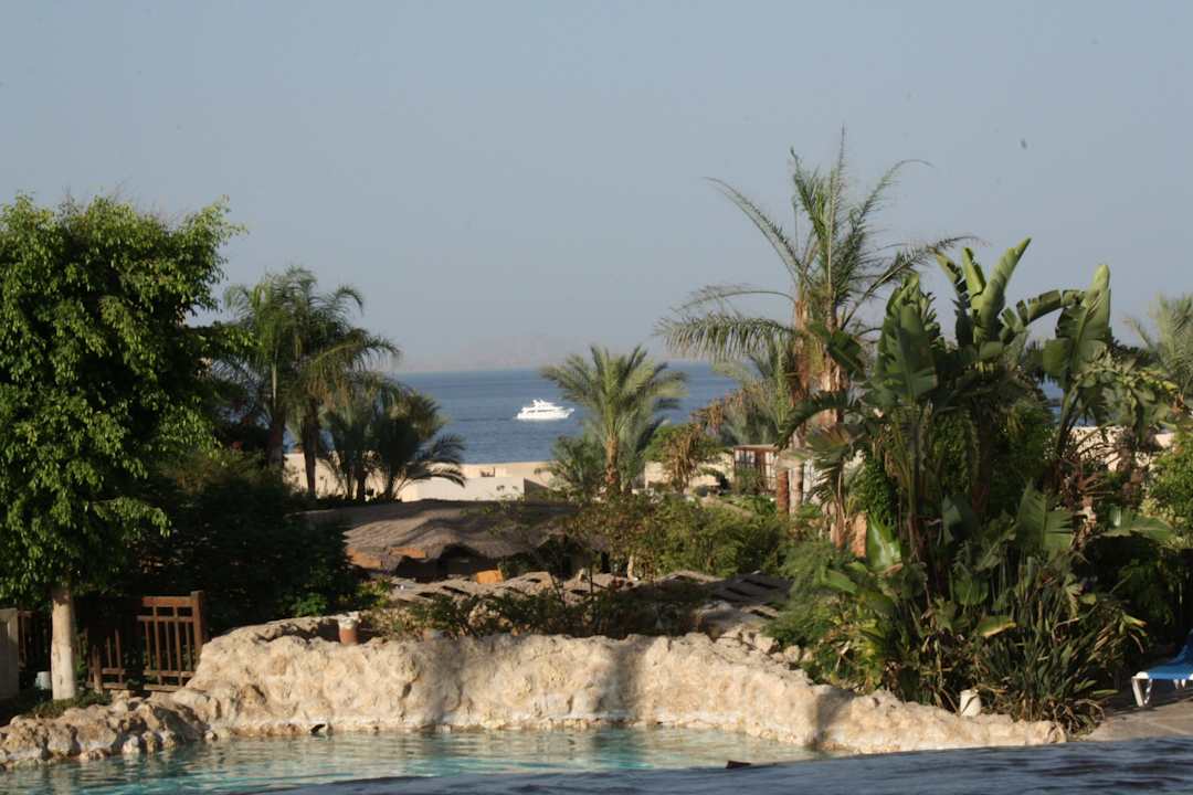 Ausblick vom Pool The Grand Hotel Sharm El Sheikh