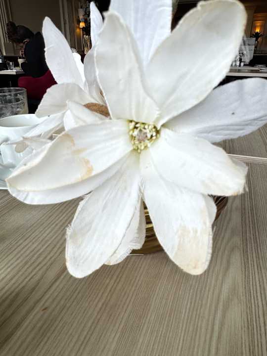 Gastro PLAZA Premium Timmendorfer Strand