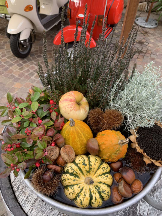 Sonstiges Gartenhotel Moser