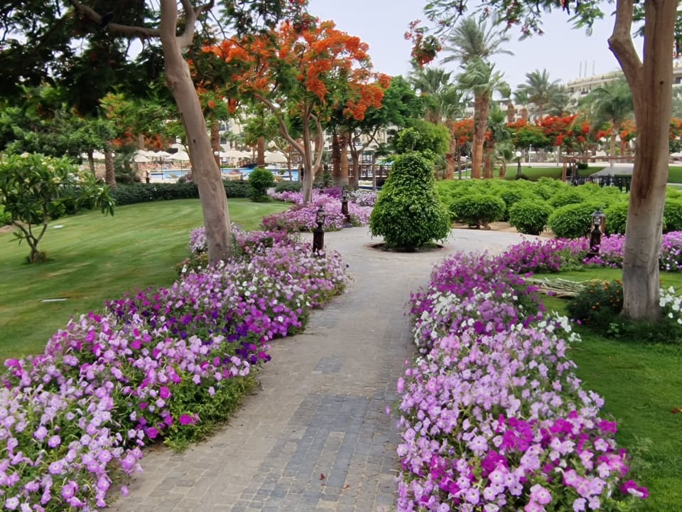 Gartenanlage Steigenberger ALDAU Beach Hotel