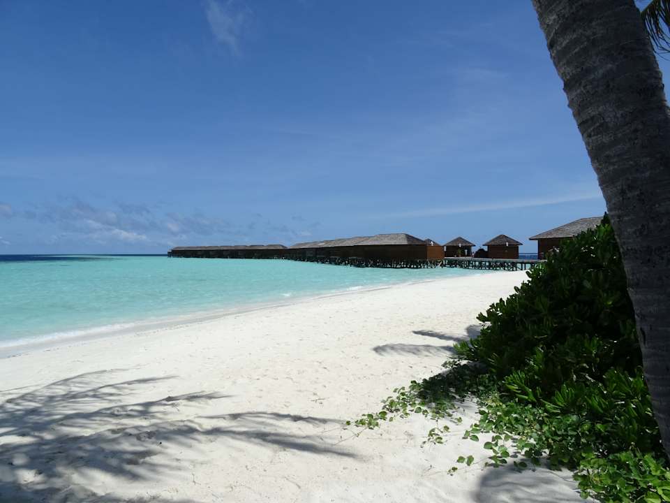 Außenansicht Vilamendhoo Island Resort & Spa