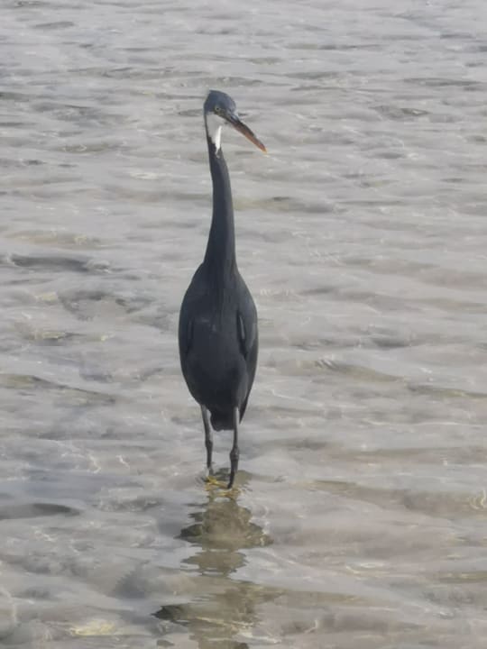 Strand Casa Mare Resort