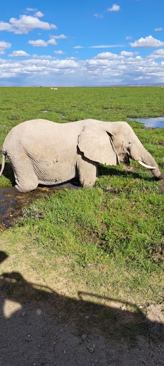 Sport & Freizeit Hotel Amboseli Sopa Lodge