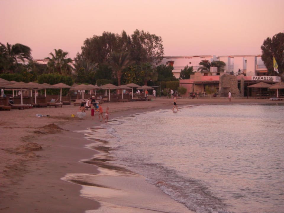 Blick am Strand Eagles Paradise Abu Soma