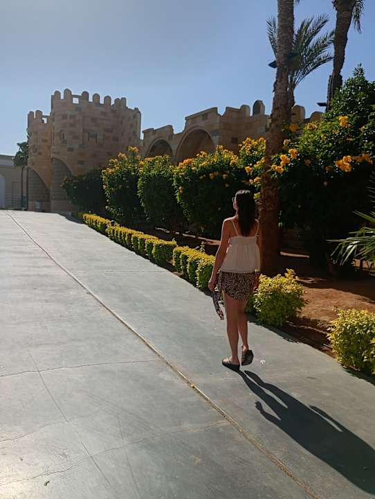 Pool Pickalbatros Aqua Park Resort - Sharm El Sheikh