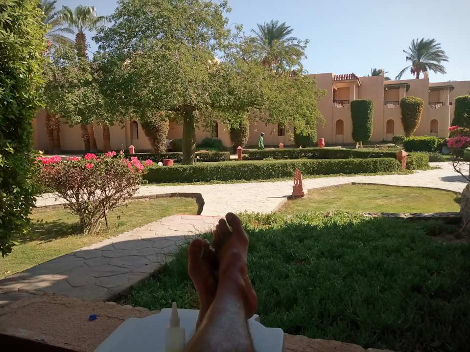 Gartenanlage Ali Baba Palace Resort