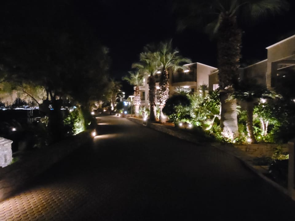 Gartenanlage Nana Golden Beach