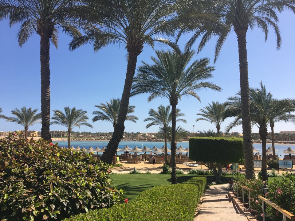 Garten Steigenberger Coraya Beach - Adults only