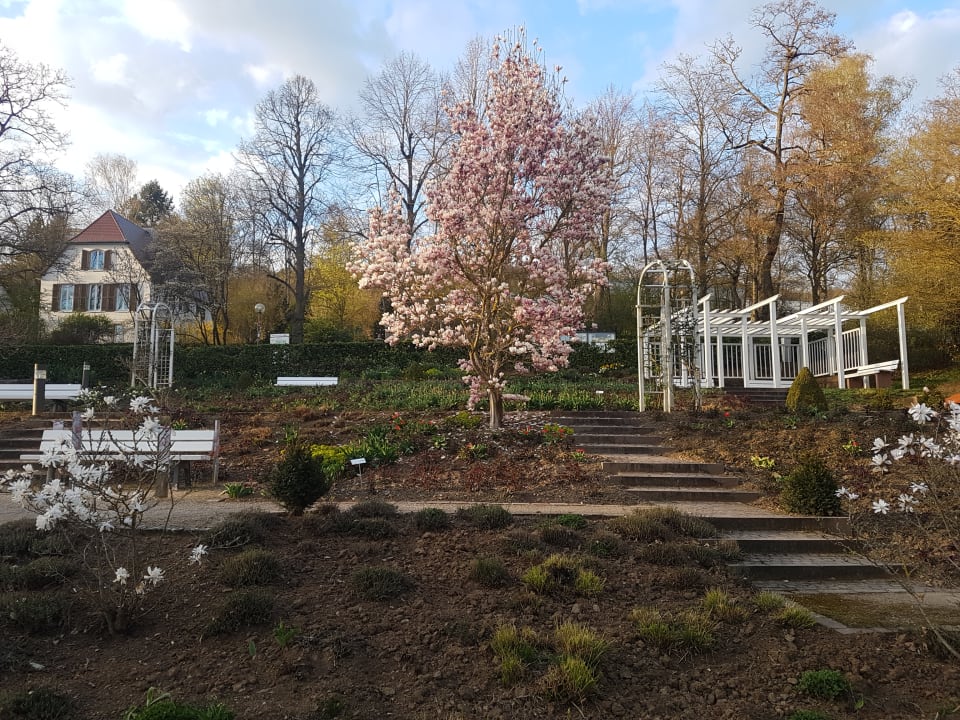 Sonstiges Vitalhotel König am Park