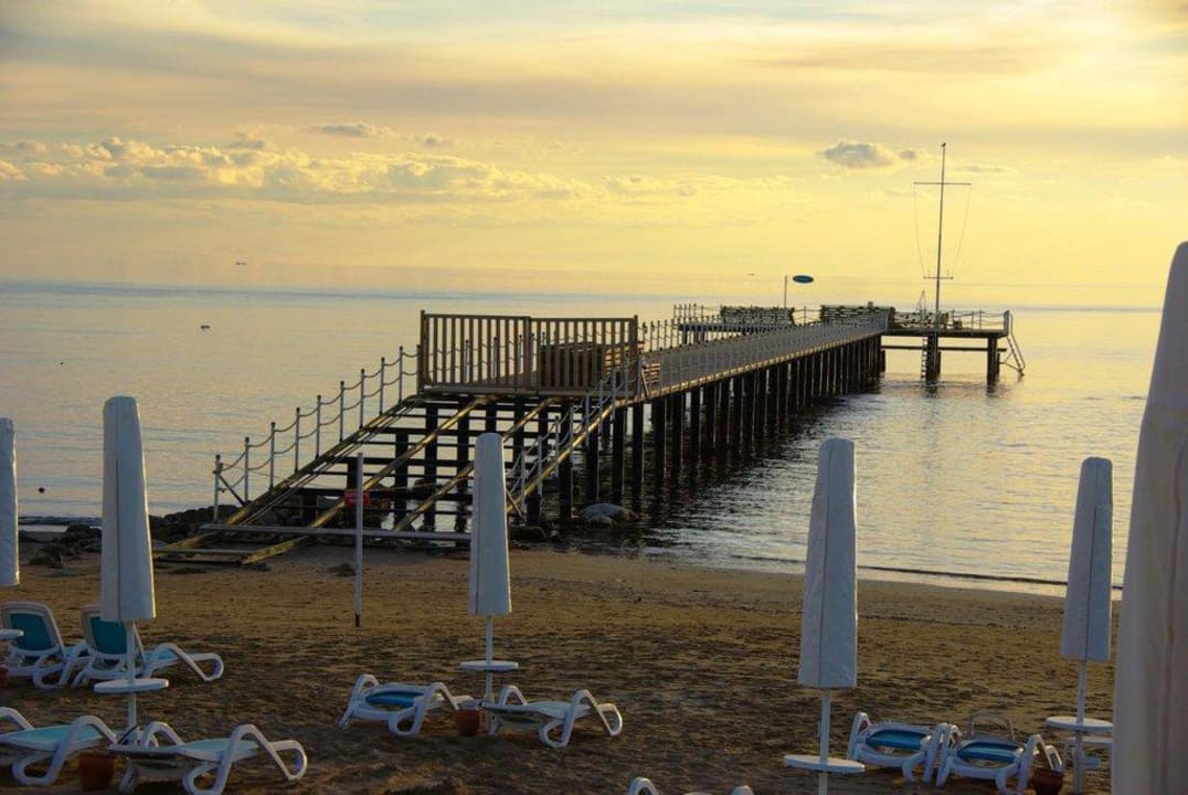 Stand am 12.12.2011 PALOMA Perissia