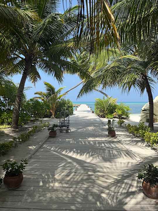 Ausblick Canareef Resort Maldives