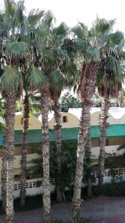 Der Blick vom Balkon Hotel Nesrine