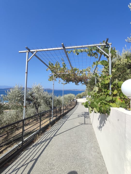 Strand Akrathos Beach Hotel