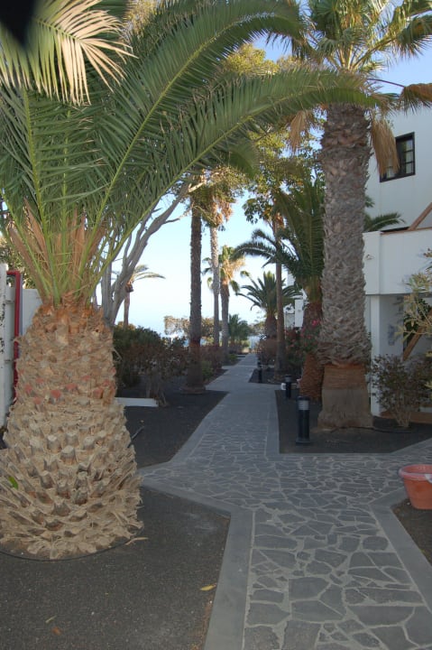 Wege zu den App allsun App.-Hotel Albatros