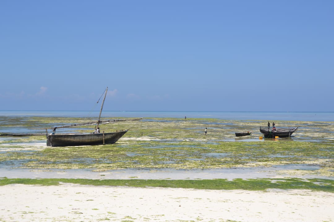 Strand Royal Zanzibar Beach Resort