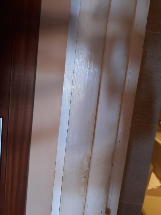 Zimmer Melia La Palma Hotel