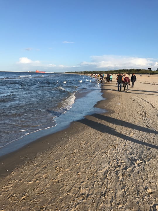 Strand SEETELHOTEL Kaiserstrand Beachhotel
