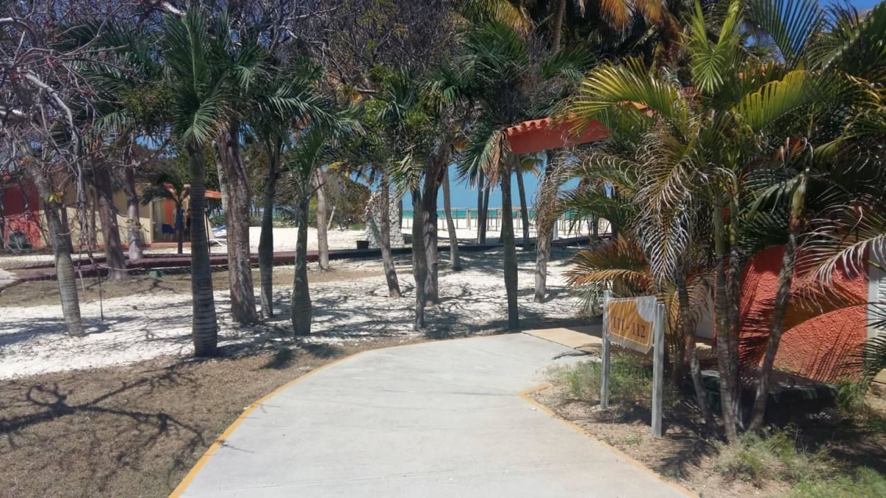 Ogród Starfish Cayo Guillermo