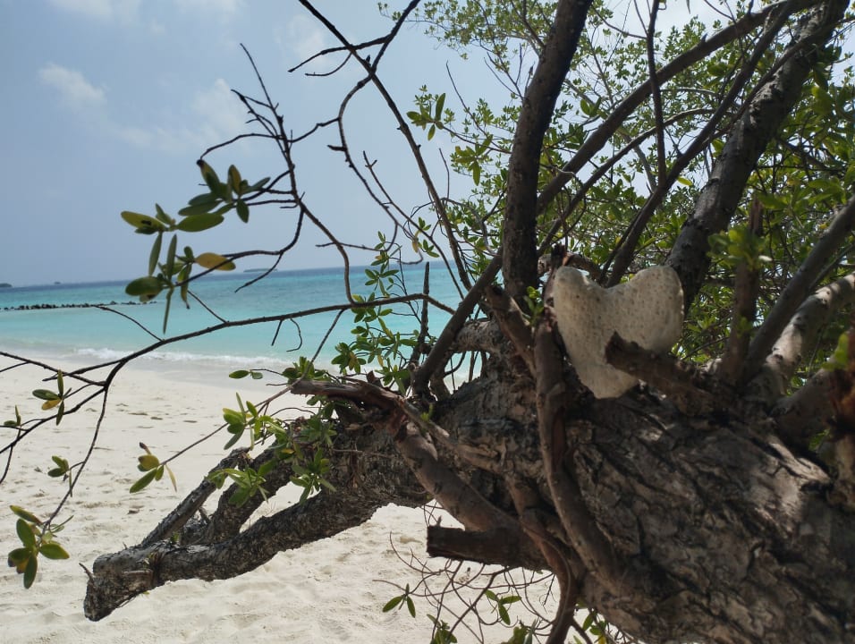 Strand Kuredu Island Resort & Spa