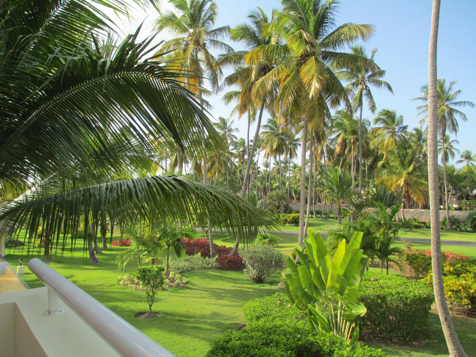 Ausblick vom Flur TRS Turquesa Hotel - Adults only