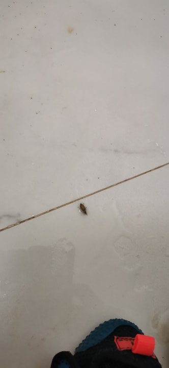 Zimmer Grecotel LUXME Dama Dama