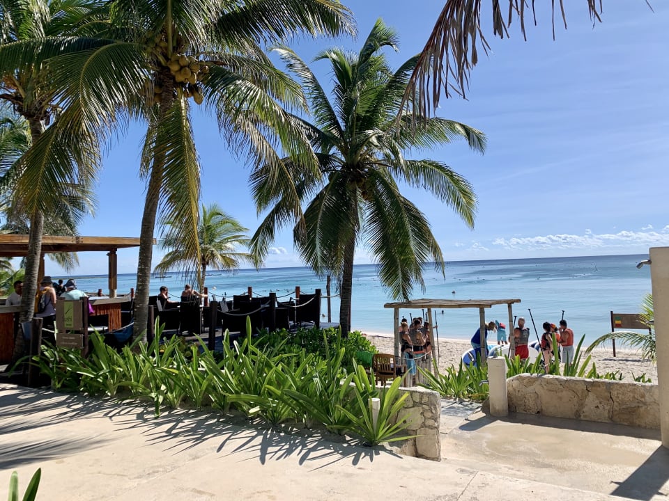 Außenansicht Akumal Bay Beach & Wellness Resort