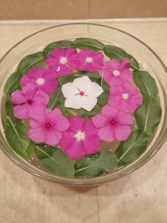 Sonstiges Steigenberger Coraya Beach - Adults only