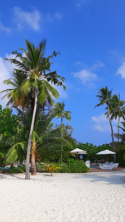 Pool Safari Island Maldives