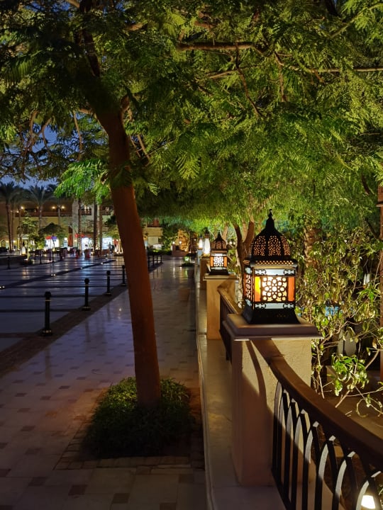 Gartenanlage Makadi Spa - Adults only