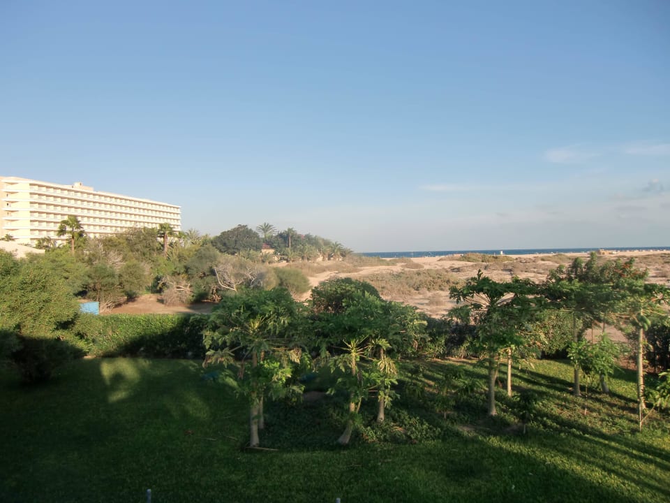 Ausblick vom Appartement Hotel Riu Oliva Beach Resort