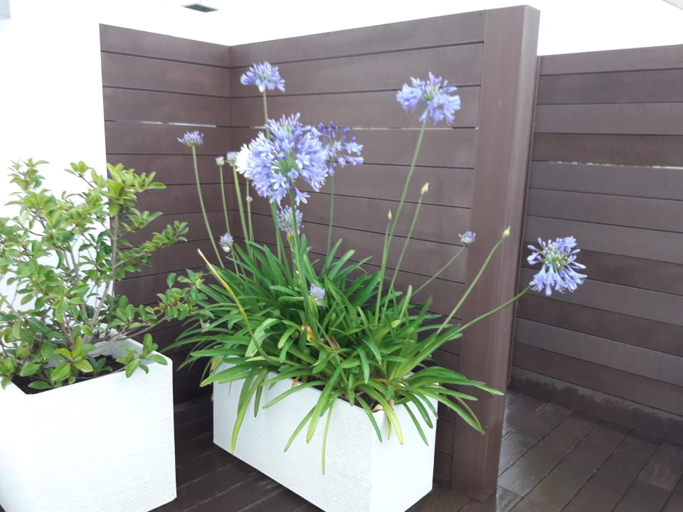 Sonstiges allsun Hotel Cristóbal Colón