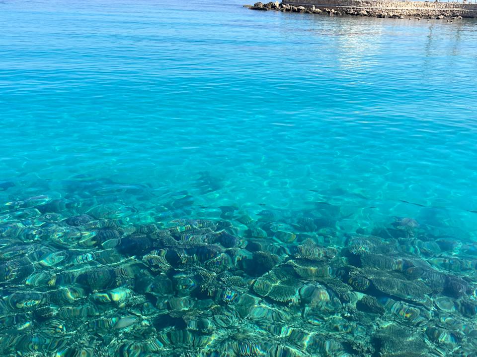 Ausblick Pickalbatros Citadel Resort