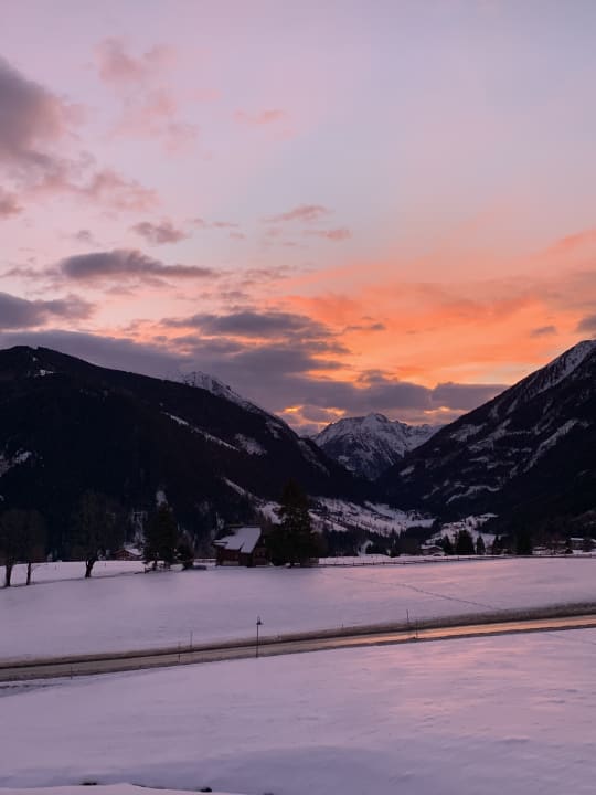 Ausblick  BIO-Pension Aussacher