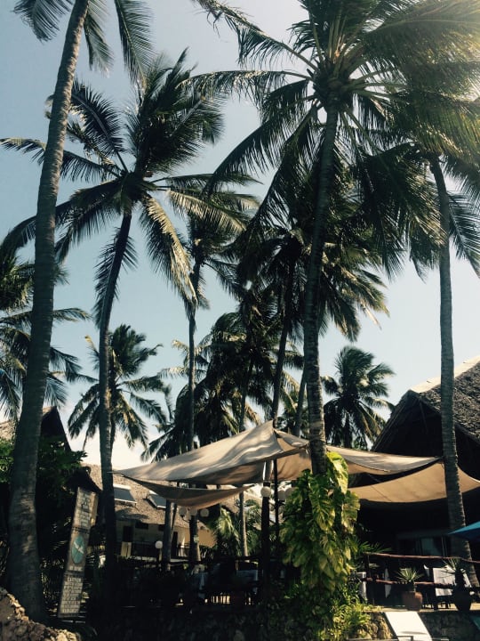 Bahari Beach Hotel Bahari Beach Hotel