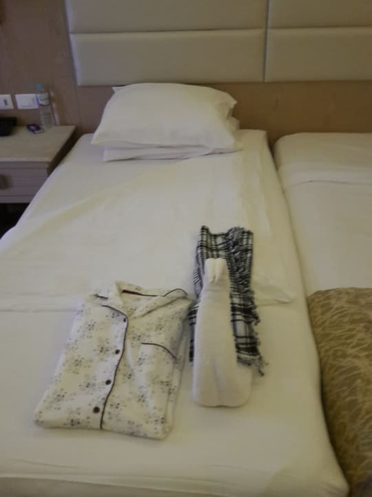 Danke an den netten Zimmerboy Beach Albatros Resort