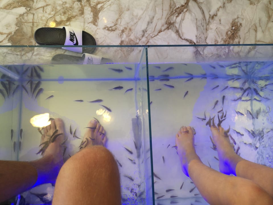 Sport & Freizeit VONRESORT Golden Coast