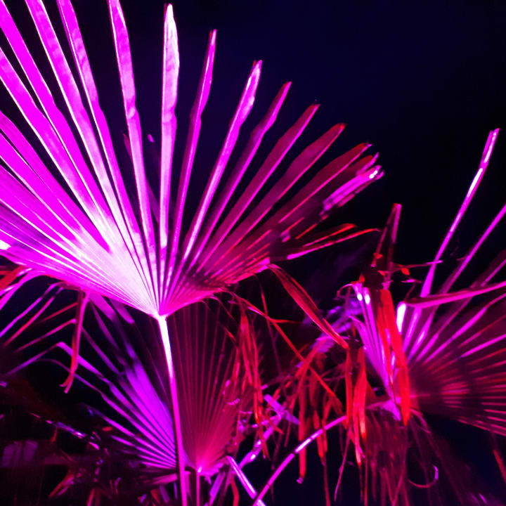 Ausblick Vitalhotel König am Park