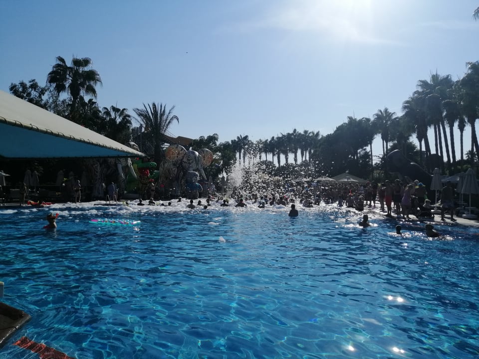 Pool Arum Barut Collection