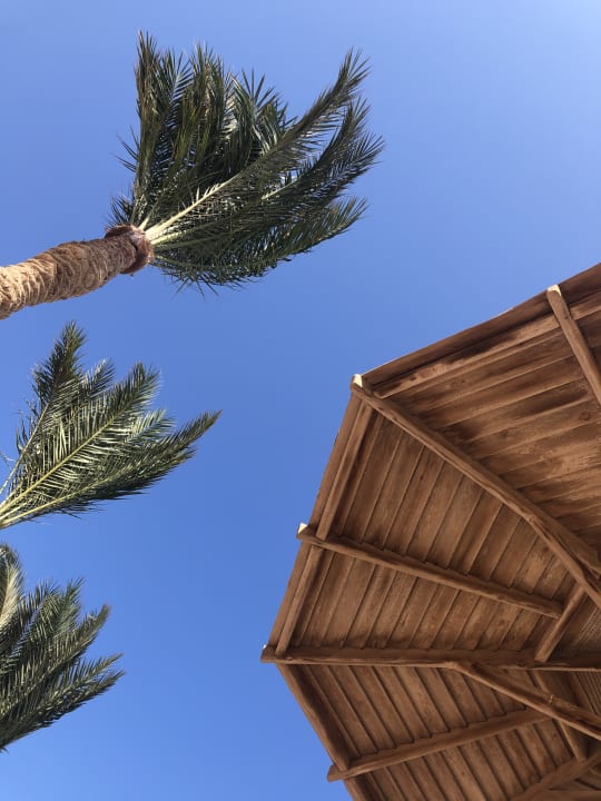 Strand Palm Beach Resort