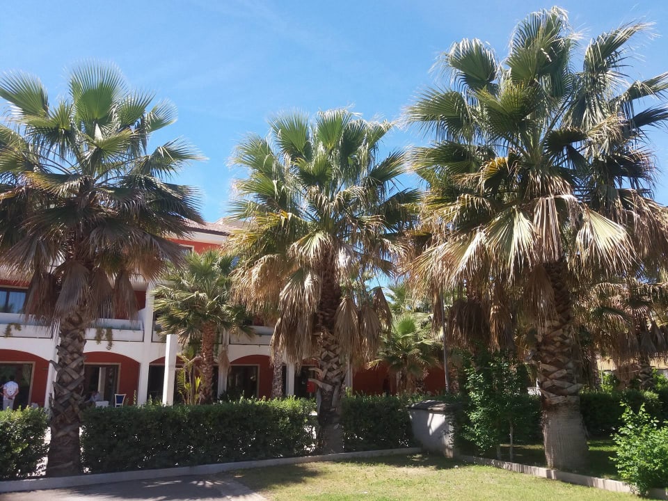 Gartenanlage Hotel Prince Franklyn Hotel