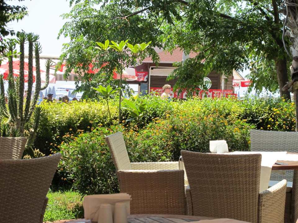 Green Beach Restaurant  Hotel Grand Okan