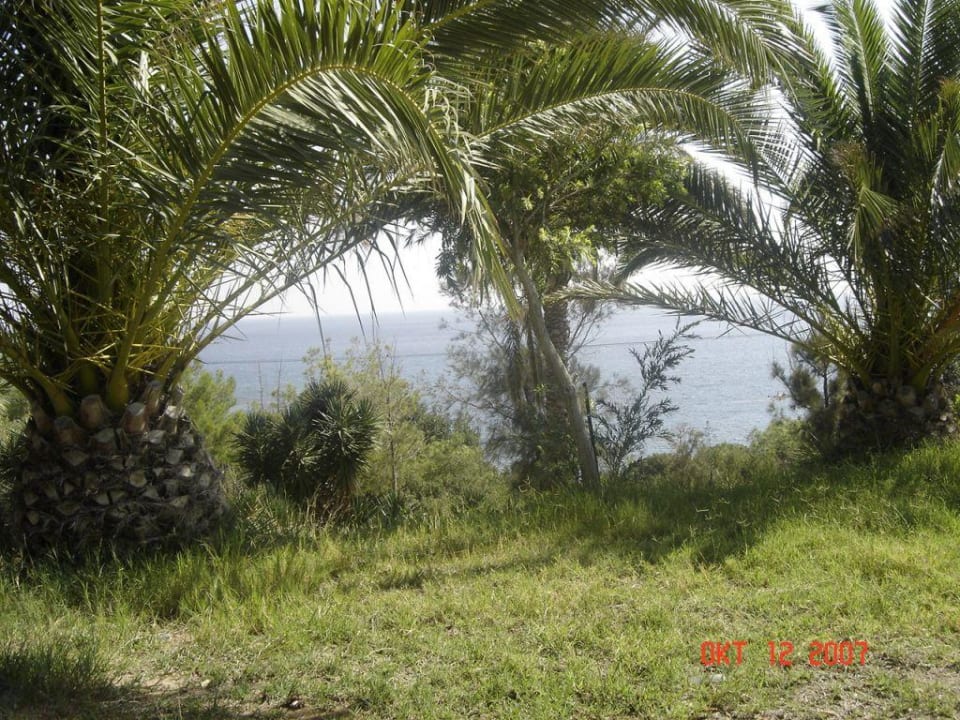 Meerblick Rodos Princess Beach Hotel & Spa