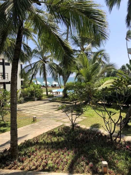 Gartenanlage Lankavatara Ocean Retreat & Spa