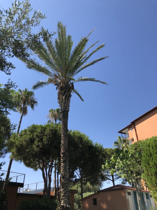 Ausblick Club Turtas Beach Hotel