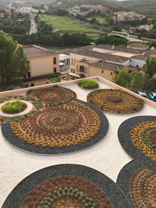 Ausblick Zafiro Palace Andratx