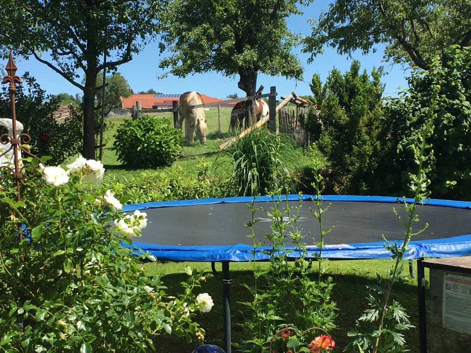 Gartenanlage Ferienwohnung Heissenhof