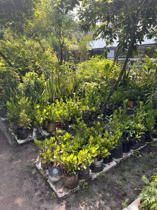 Gartenanlage NH Collection Maldives Reethi Resort