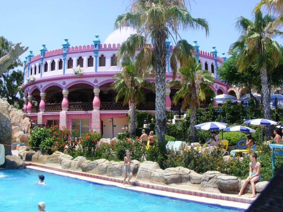 Inne oblicze  Kamelya Aishen Club